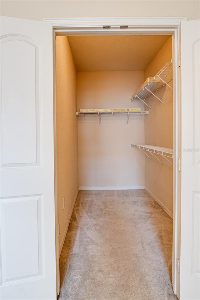 spacious closet with light colored carpet