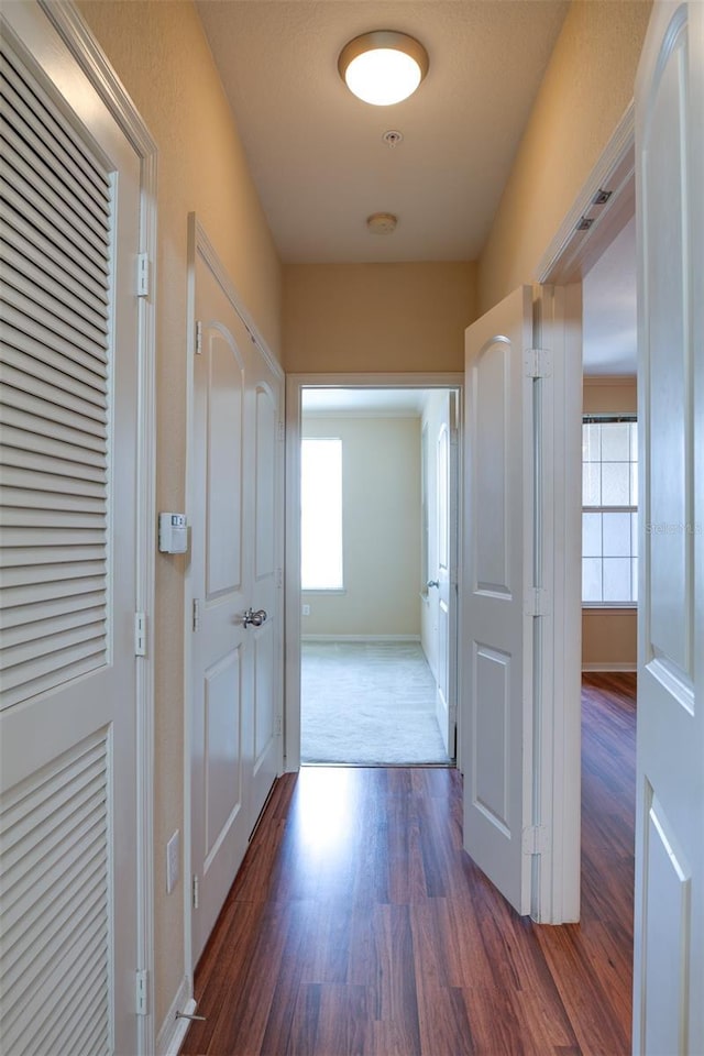 hall with baseboards and dark wood finished floors