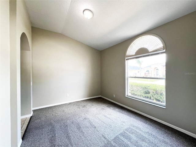 empty room featuring carpet flooring, a textured ceiling, and vaulted ceiling