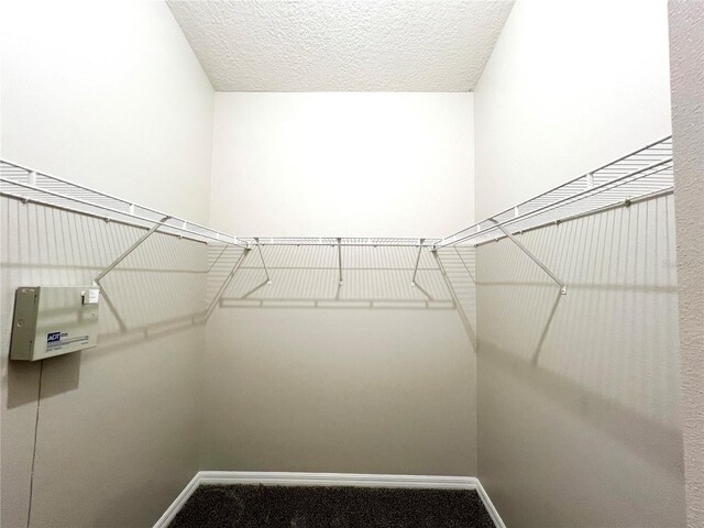 spacious closet with carpet flooring