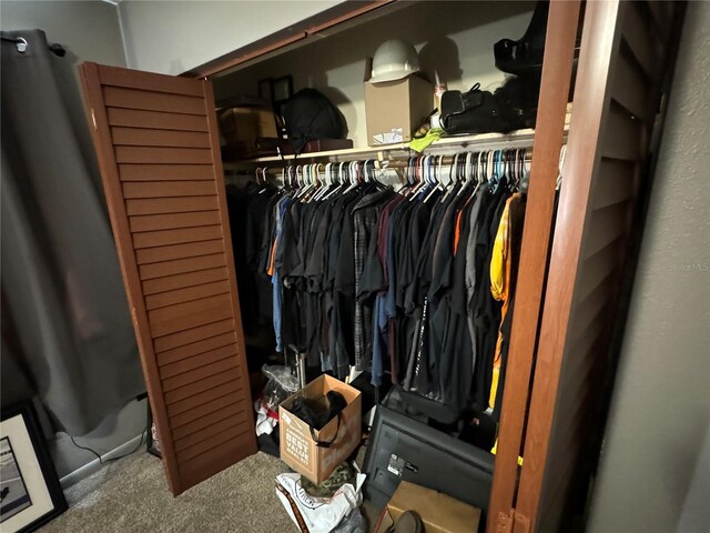 view of closet