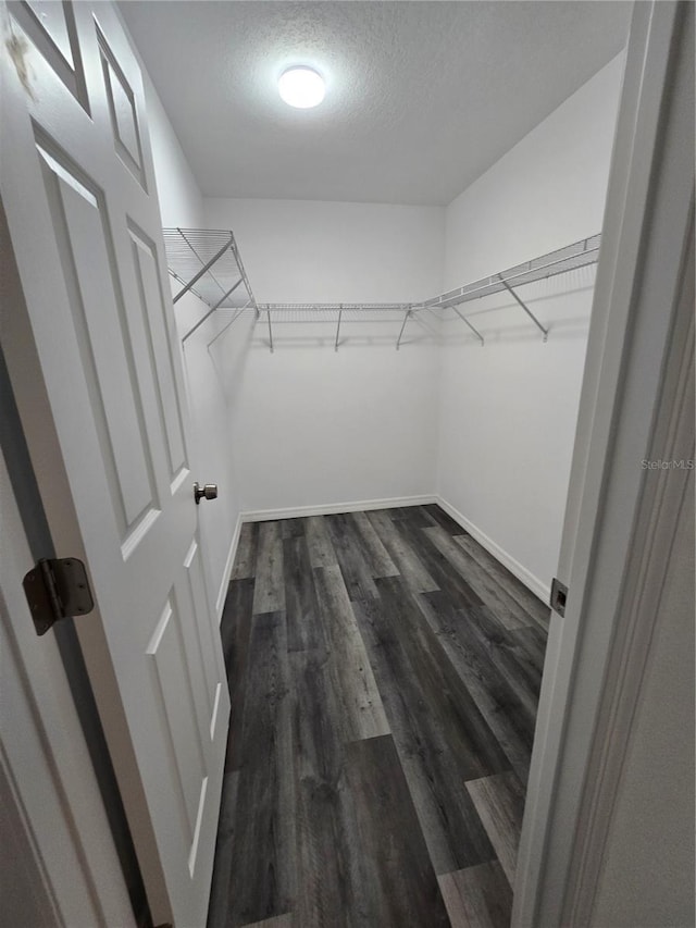 spacious closet with dark wood-type flooring