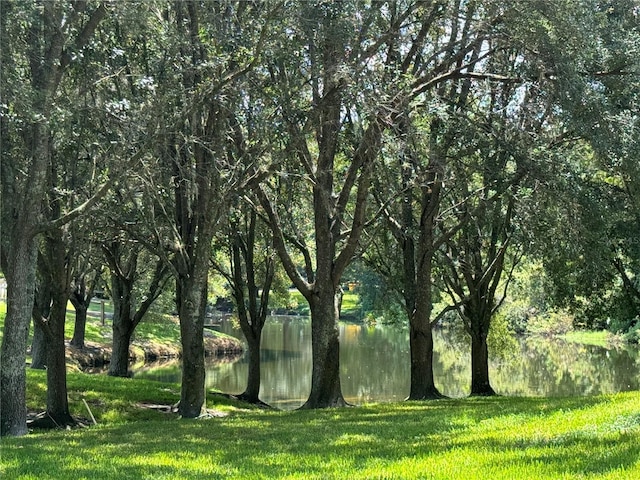 view of landscape with a water view