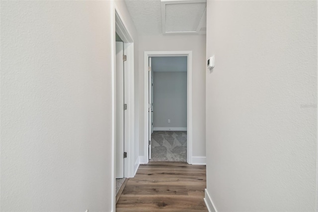 2909 W Spruce St, Tampa, FL 33607 - hallway featuring wood finished floors and attic access