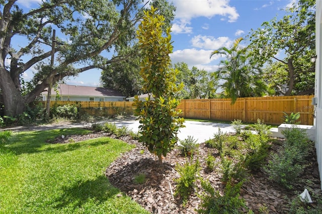 2909 W Spruce St, Tampa, FL 33607 - view of yard