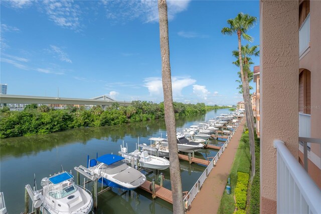 dock area with a water view