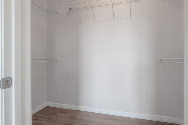 walk in closet with wood-type flooring