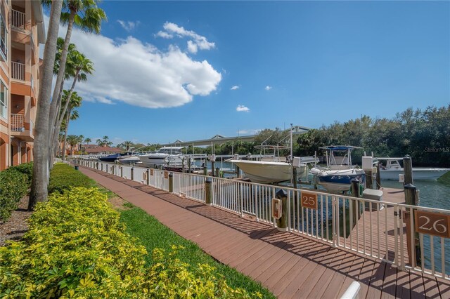 dock area with a water view