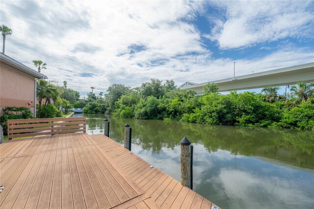 dock area with a water view