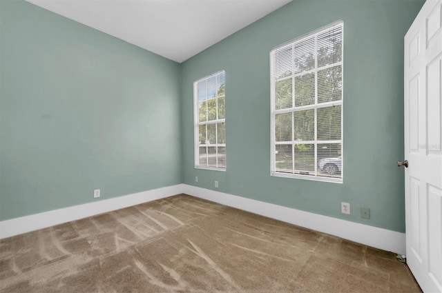 spare room featuring plenty of natural light, carpet, and baseboards