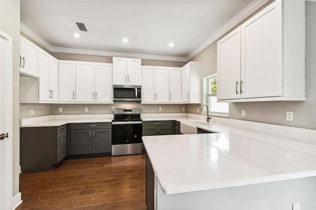 kitchen featuring visible vents, dark wood-style flooring, stainless steel appliances, gray cabinetry, and a sink