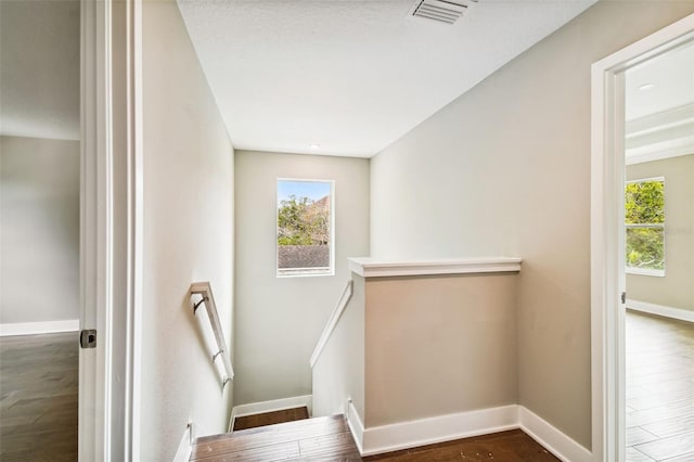 staircase with hardwood / wood-style floors