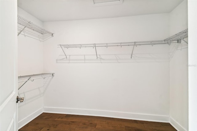 spacious closet with dark wood-type flooring