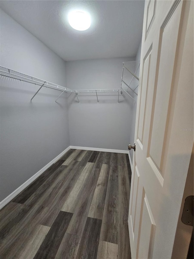 walk in closet with dark hardwood / wood-style flooring