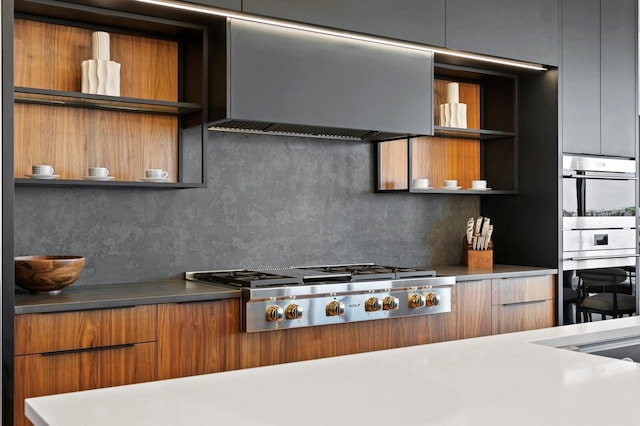 kitchen with backsplash, sink, stainless steel appliances, and range hood