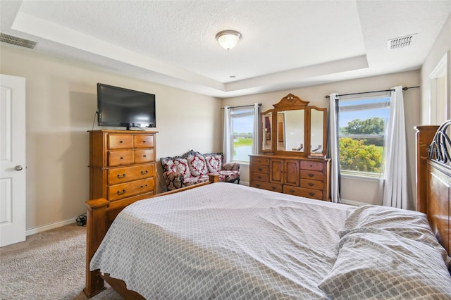 carpeted bedroom with a textured ceiling and a raised ceiling