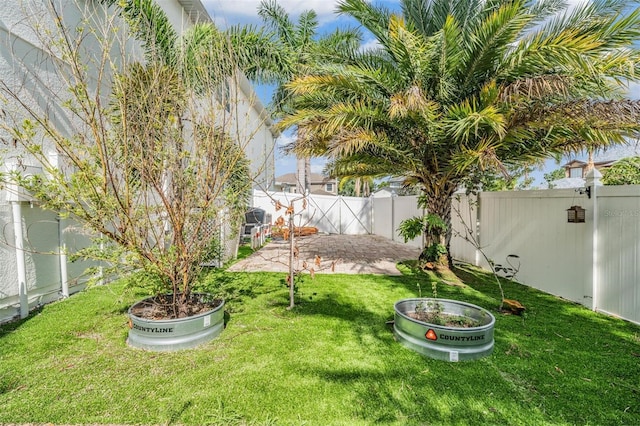 view of yard featuring a patio