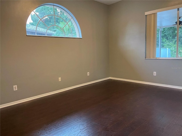 empty room with hardwood / wood-style flooring