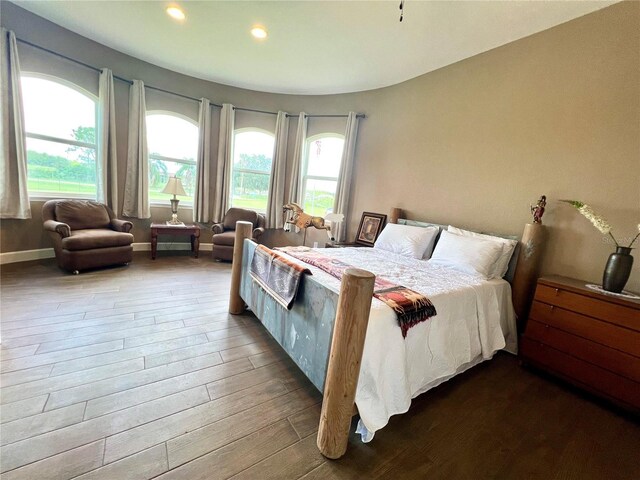 bedroom with multiple windows and wood-type flooring