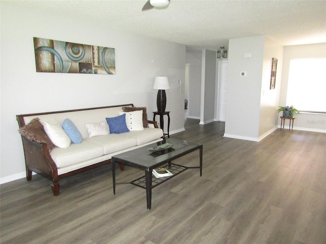 living room featuring dark wood-type flooring