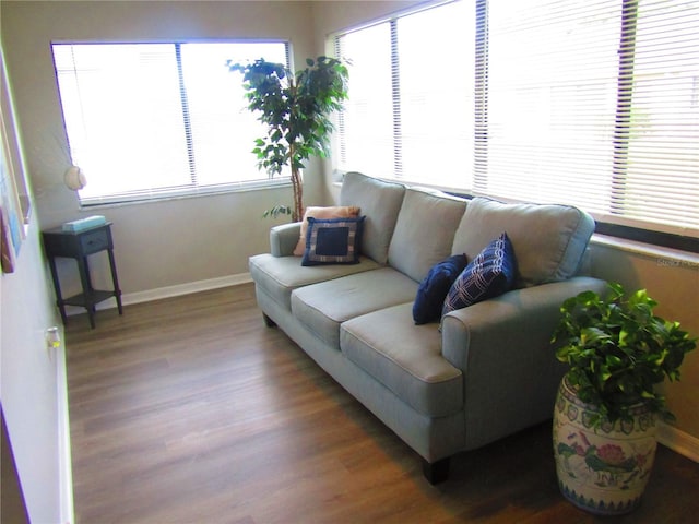 living room with hardwood / wood-style floors and plenty of natural light