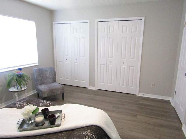 bedroom featuring dark wood-type flooring and two closets