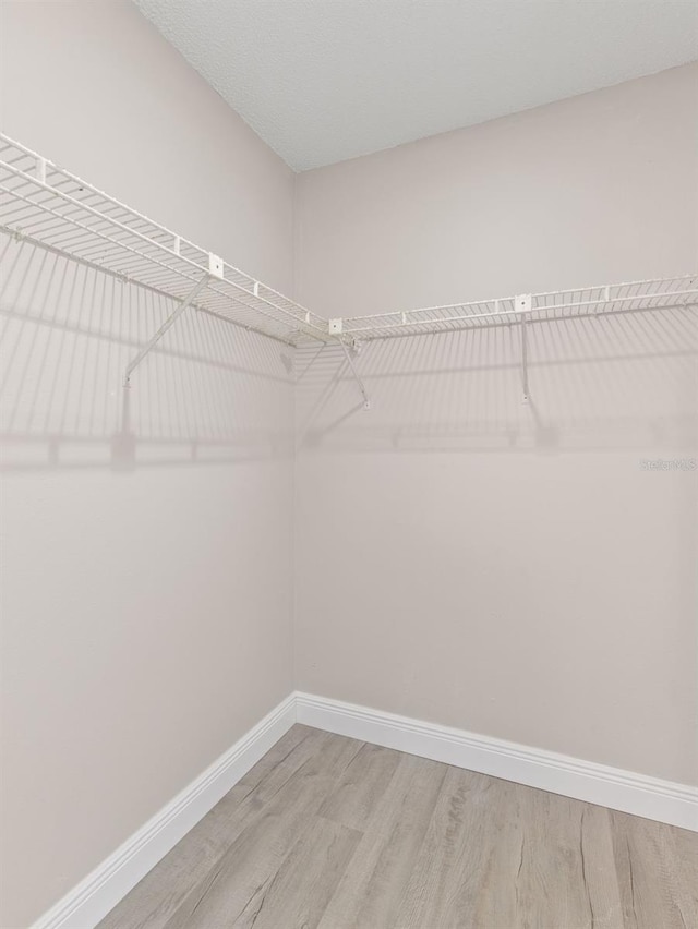 spacious closet featuring light wood-type flooring