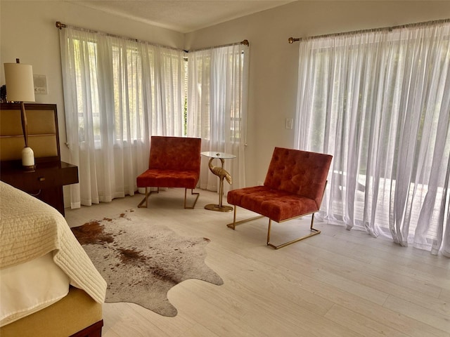 sitting room featuring light wood-type flooring