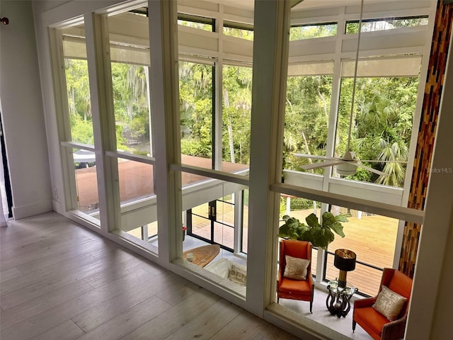 interior space with plenty of natural light and hardwood / wood-style floors