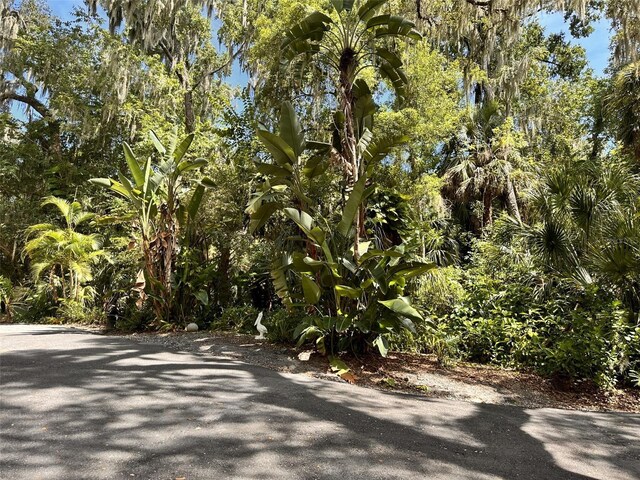 view of street