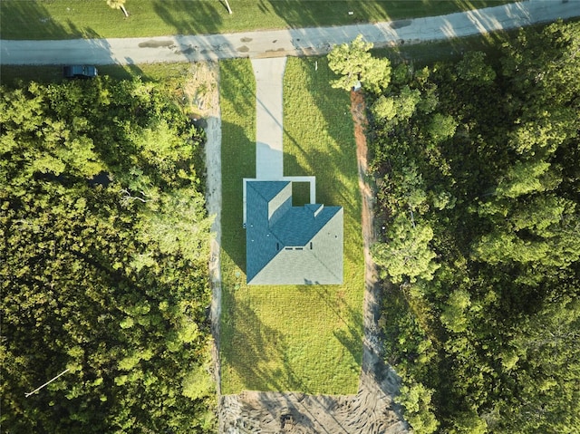 drone / aerial view