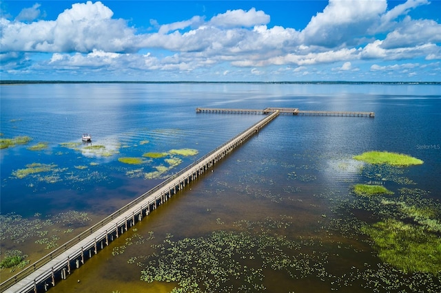 dock area with a water view and a pier