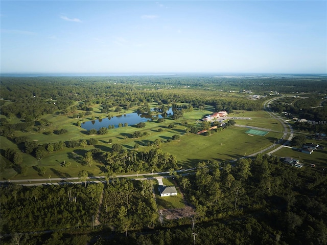 bird's eye view featuring a water view and a forest view
