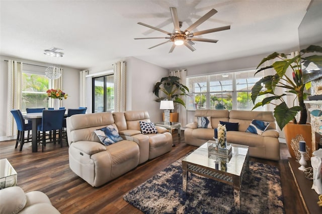 living room with a wealth of natural light, dark hardwood / wood-style flooring, and ceiling fan with notable chandelier