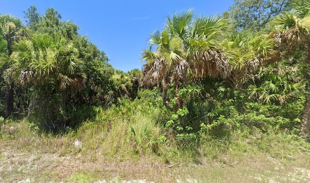 0 Homestead Cir, North Port FL, 34286 land for sale