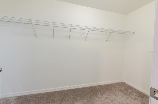 spacious closet featuring light carpet