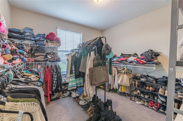 spacious closet with carpet flooring