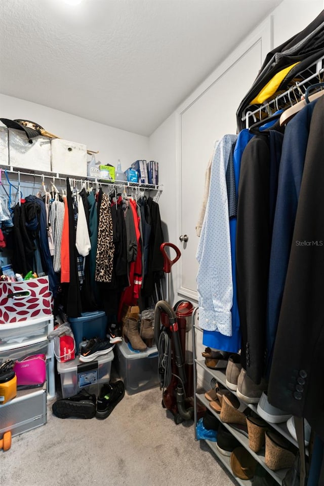 walk in closet featuring carpet flooring