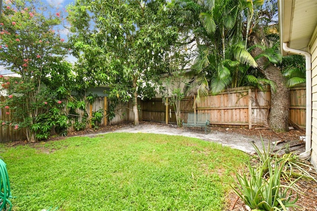 view of yard with a fenced backyard