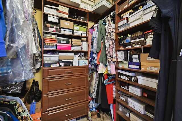 view of spacious closet