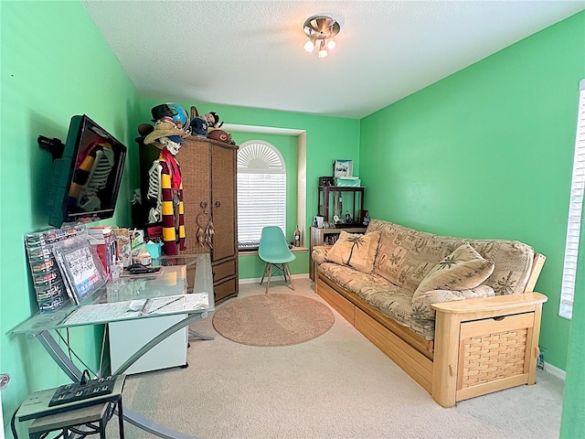 living room with carpet flooring and a textured ceiling