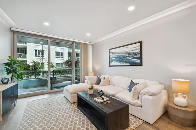 living room featuring light hardwood / wood-style flooring and expansive windows