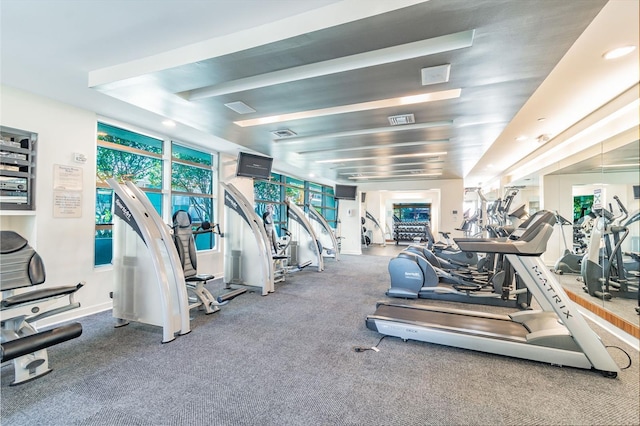 workout area with carpet