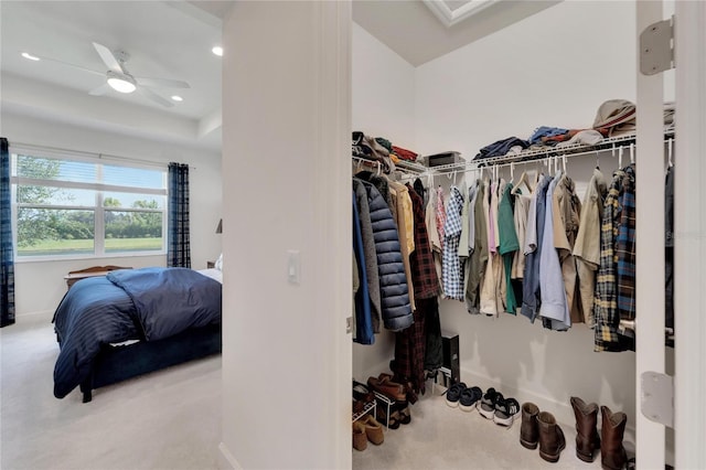 walk in closet with ceiling fan and carpet floors