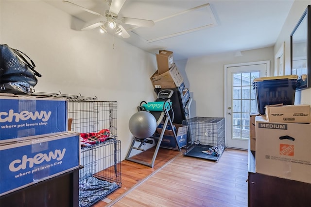 workout room featuring hardwood / wood-style flooring and ceiling fan