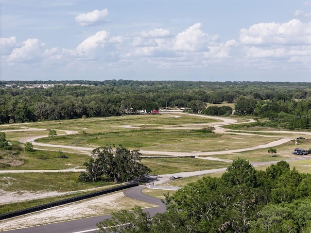 view of bird's eye view