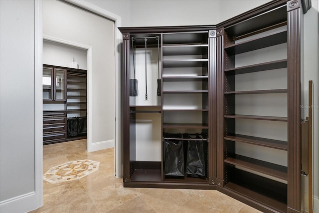 638 Limona Woods Dr, Brandon, FL 33510 - view of spacious closet