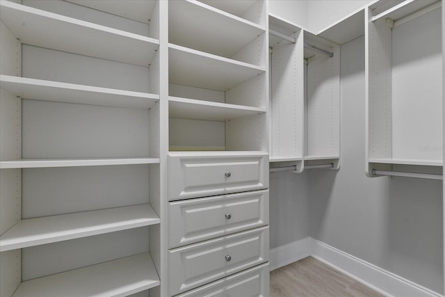 spacious closet with light wood-type flooring