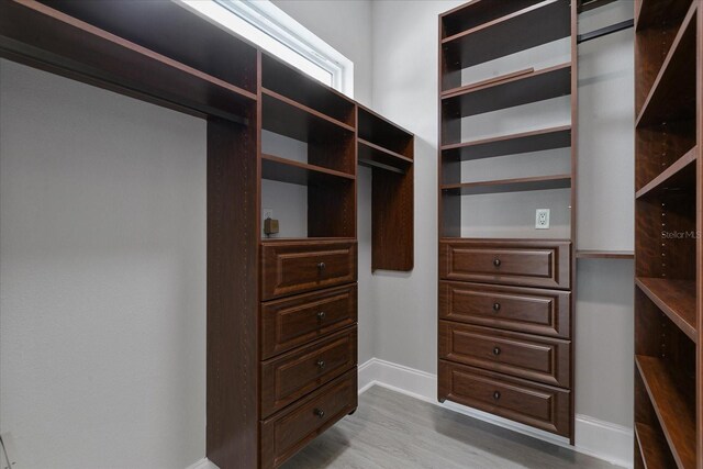 spacious closet with wood-type flooring