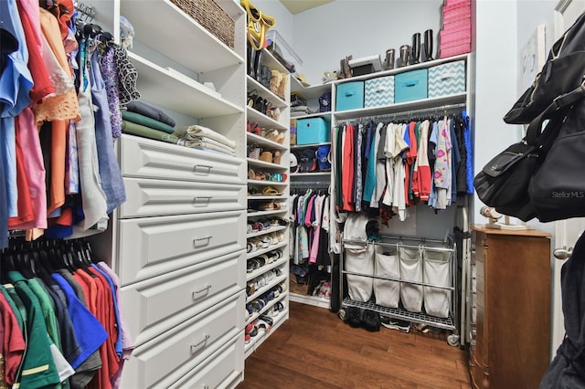 spacious closet with dark hardwood / wood-style floors